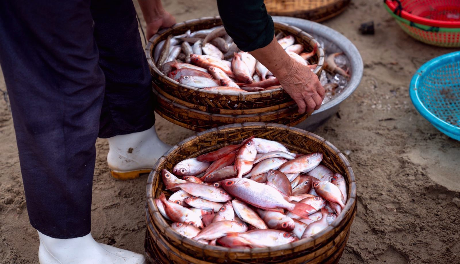 Una pescadera de caleta cuenta cómo se mira un pueblo desde adentro