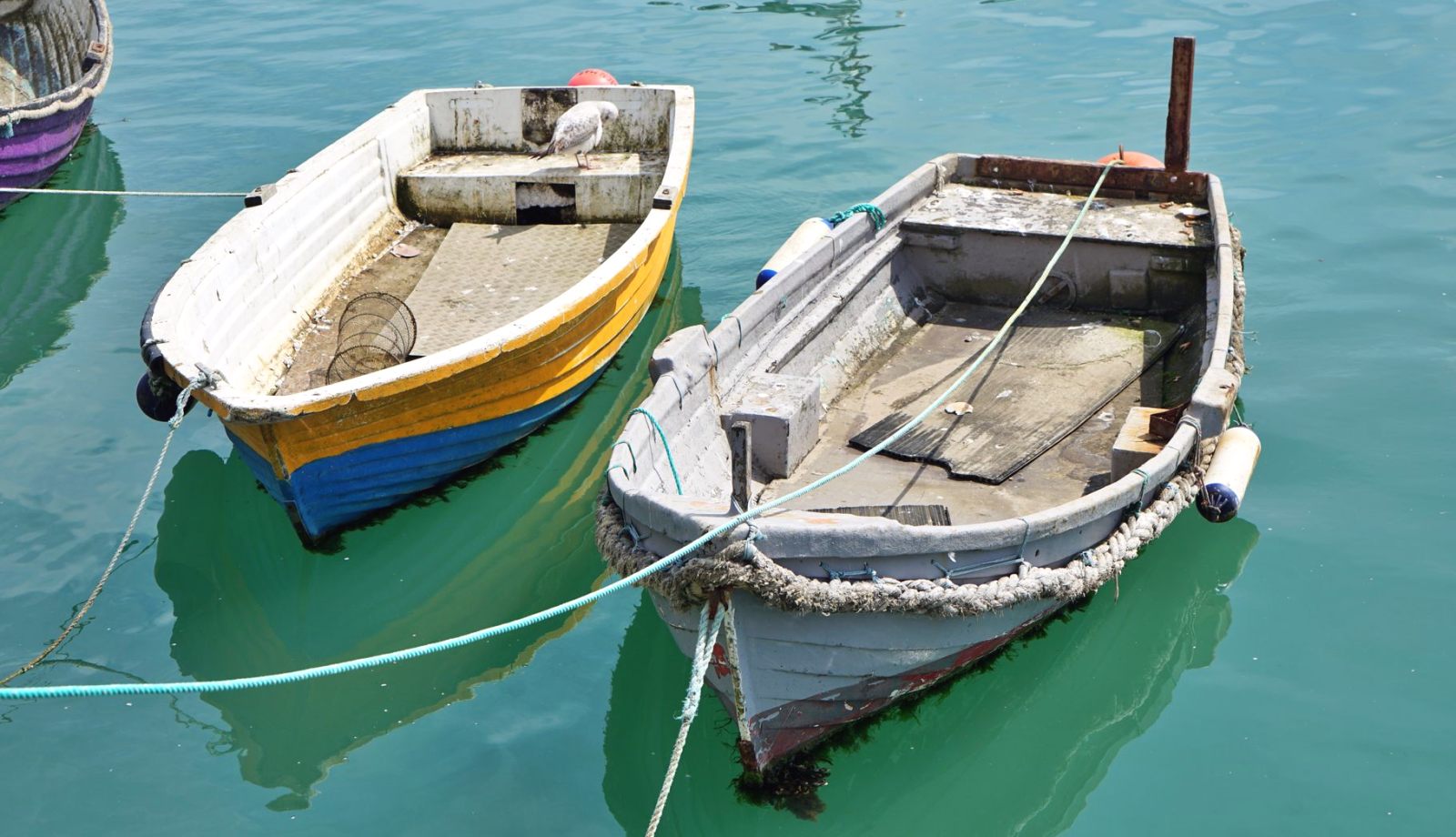 Cómo armamos Miradas Locales, de la caleta a la página